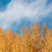 緒方 秋空🍂 鶯谷人妻城