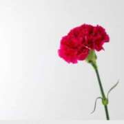 ヒメ日記 2025/06/25 23:30 投稿 あゆ イエスグループ熊本 TSUBAKI(ツバキ)