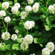 ヒメ日記 2025/07/14 15:07 投稿 あゆ イエスグループ熊本 TSUBAKI(ツバキ)