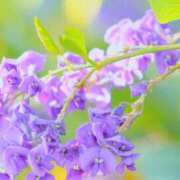 ヒメ日記 2025/07/28 01:59 投稿 あゆ イエスグループ熊本 TSUBAKI(ツバキ)