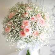 ヒメ日記 2025/08/20 18:06 投稿 あゆ イエスグループ熊本 TSUBAKI(ツバキ)