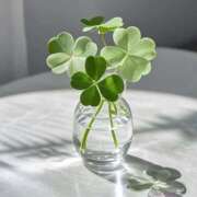 ヒメ日記 2025/10/16 12:56 投稿 あゆ イエスグループ熊本 TSUBAKI(ツバキ)