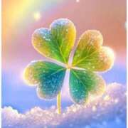 ヒメ日記 2025/12/30 18:28 投稿 あゆ イエスグループ熊本 TSUBAKI(ツバキ)