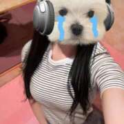 ヒメ日記 2025/06/26 17:52 投稿 そら 横浜Cute