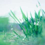 ヒメ日記 2026/02/23 13:15 投稿 しおり 脱がされたい人妻 木更津店