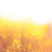 ヒメ日記 2026/03/07 08:07 投稿 しおり 脱がされたい人妻 木更津店