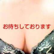 ヒメ日記 2026/03/08 11:33 投稿 しおり 脱がされたい人妻 木更津店