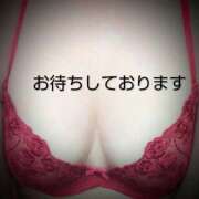 ヒメ日記 2026/03/16 09:48 投稿 しおり 脱がされたい人妻 木更津店