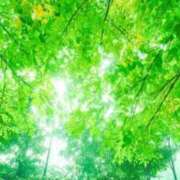 ヒメ日記 2026/04/05 12:25 投稿 しおり 脱がされたい人妻 木更津店