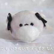 ヒメ日記 2025/10/08 12:42 投稿 ココロ ファーストレディー