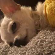 ヒメ日記 2025/12/04 15:02 投稿 今宵【コヨイ】 ピンクコレクション尼崎店