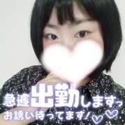 ヒメ日記 2025/09/28 09:00 投稿 カステラのリオ C級グル女　鶯谷店