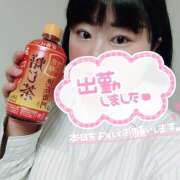 ヒメ日記 2025/10/11 09:30 投稿 カステラのリオ C級グル女　鶯谷店