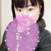 ヒメ日記 2025/11/19 11:38 投稿 カステラのリオ C級グル女　鶯谷店