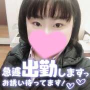 ヒメ日記 2025/11/20 08:48 投稿 カステラのリオ C級グル女　鶯谷店