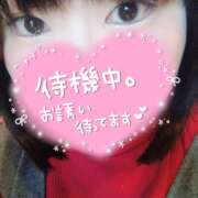 ヒメ日記 2026/02/01 15:50 投稿 カステラのリオ C級グル女　鶯谷店