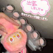 ヒメ日記 2025/10/23 18:07 投稿 かりん S-GALAXY