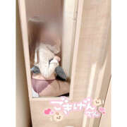 ヒメ日記 2025/12/19 15:01 投稿 かりん S-GALAXY