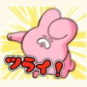 ヒメ日記 2025/08/21 19:37 投稿 まりり 豊満倶楽部