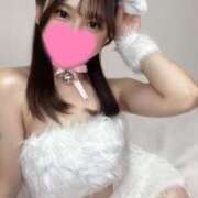 ヒメ日記 2025/11/28 16:30 投稿 めい 紳士の嗜み 大宮