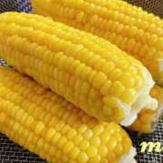 ヒメ日記 2025/07/04 12:06 投稿 まゆ 奥様鉄道69 仙台店