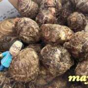 ヒメ日記 2025/12/21 12:46 投稿 まゆ 奥様鉄道69 仙台店