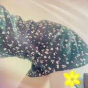 ヒメ日記 2025/06/18 20:37 投稿 はな 人妻熟女の秘密の関係伊勢崎店