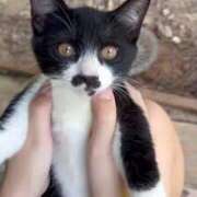 ヒメ日記 2025/08/21 20:50 投稿 ゆきの 熊本しこたまクリニック