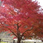 ヒメ日記 2025/11/23 06:08 投稿 しほ☆竹 五十妻（イソップ）40代～60代　山口・防府店