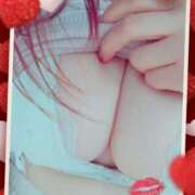 ヒメ日記 2026/02/15 07:23 投稿 しほ☆竹 五十妻（イソップ）40代～60代　山口・防府店