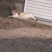 ヒメ日記 2026/02/28 13:41 投稿 しほ☆竹 五十妻（イソップ）40代～60代　山口・防府店