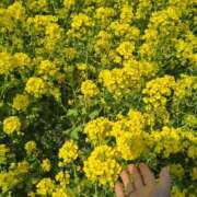 ヒメ日記 2026/03/09 05:07 投稿 しほ☆竹 五十妻（イソップ）40代～60代　山口・防府店