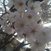 ヒメ日記 2026/03/28 17:00 投稿 しほ☆竹 五十妻（イソップ）40代～60代　山口・防府店