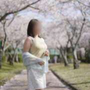 ヒメ日記 2026/04/05 05:23 投稿 しほ☆竹 五十妻（イソップ）40代～60代　山口・防府店