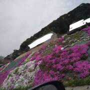 ヒメ日記 2026/04/06 12:34 投稿 しほ☆竹 五十妻（イソップ）40代～60代　山口・防府店