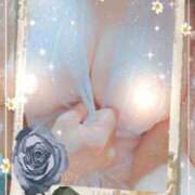 ヒメ日記 2026/04/13 08:19 投稿 しほ☆竹 五十妻（イソップ）40代～60代　山口・防府店