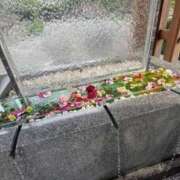 ヒメ日記 2025/09/22 00:10 投稿 黒咲　みなみ #性欲解放区　梅田人妻性感デトックス