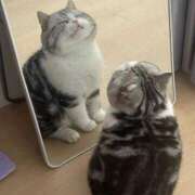 ヒメ日記 2025/09/16 21:30 投稿 御崎　らん #性欲解放区　梅田人妻性感デトックス