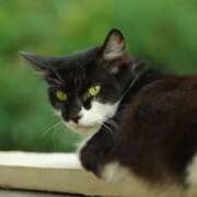 ヒメ日記 2025/10/14 16:13 投稿 吉田 BBW五反田店