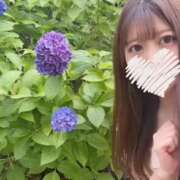 ヒメ日記 2025/07/12 07:05 投稿 ほの★爆乳美女!癒しの最高峰★ Bell~S級美女お姉様・人妻デリヘル~