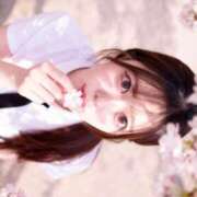 ヒメ日記 2026/05/11 17:00 投稿 ほの★爆乳美女！癒しの最高峰★ Bell～S級美女お姉様・人妻デリヘル～