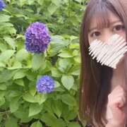 ヒメ日記 2026/10/16 12:03 投稿 ほの★爆乳美女!癒しの最高峰★ Bell~S級美女お姉様・人妻デリヘル~