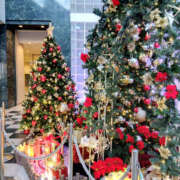 ヒメ日記 2025/12/12 09:00 投稿 れいな 性腺熟女100％本店（デリヘル市場）