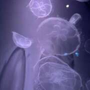 ヒメ日記 2025/06/22 19:32 投稿 きら 排泄マニア