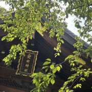 ヒメ日記 2025/07/20 17:03 投稿 きら 排泄マニア