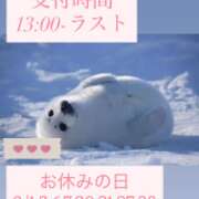 ヒメ日記 2025/07/27 15:17 投稿 きら 排泄マニア