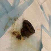 ヒメ日記 2025/08/22 10:11 投稿 きら 排泄マニア