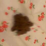 ヒメ日記 2025/08/31 11:25 投稿 きら 排泄マニア