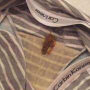 ヒメ日記 2025/10/26 22:11 投稿 きら 排泄マニア