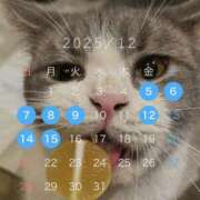 ヒメ日記 2025/11/25 12:06 投稿 きら 排泄マニア